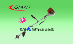 鿴ͼƬ