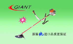鿴ͼƬ