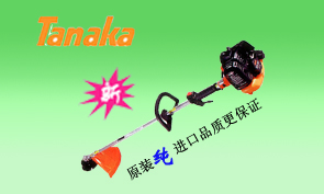 鿴ͼƬ