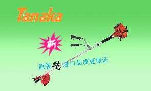 鿴ͼƬ