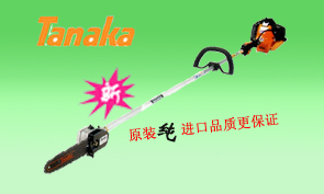 鿴ͼƬ
