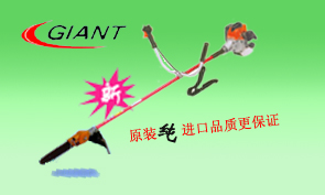 鿴ͼƬ