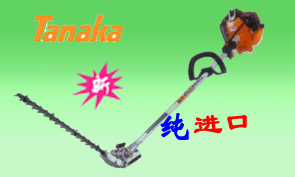 鿴ͼƬ